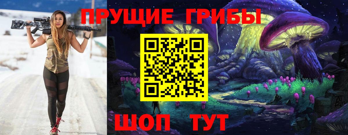 Галлюциногенные грибы мухоморы Артёмовский